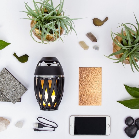 TikiTunes WiFi Bluetooth LED Outdoor Waterproof Flame Torch Wireless Speaker - Picture 13 of 16